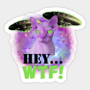 Hey...WTF! Sticker